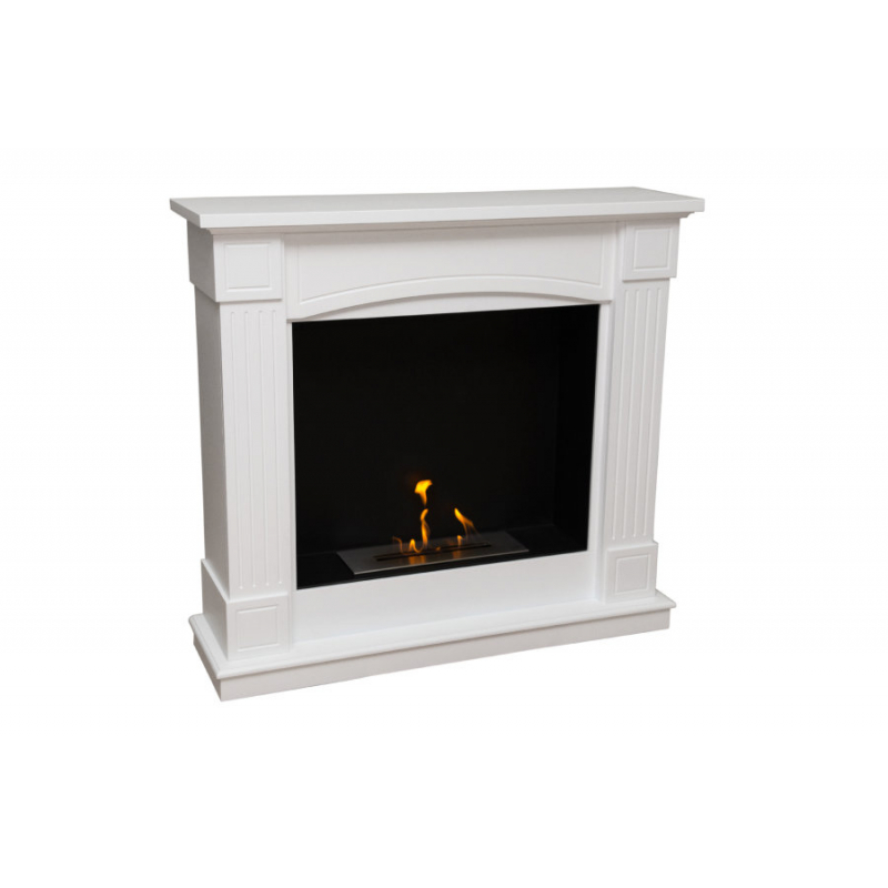 Биокамин FireBird Олимпия по цене 74 800 руб.