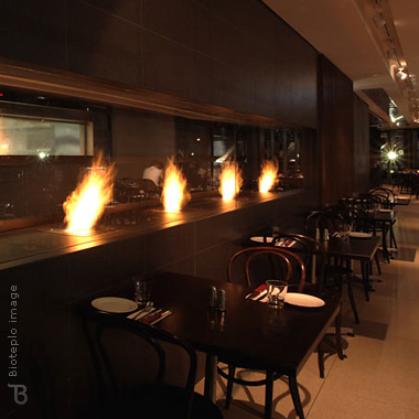 Биокамин Autofire Arch-08